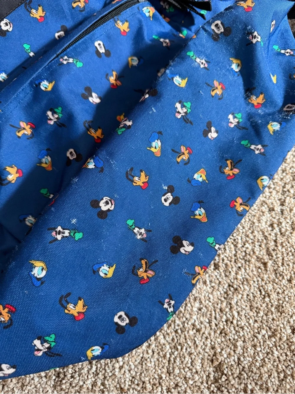 Jansport Blue Backpack with Disney Character Print